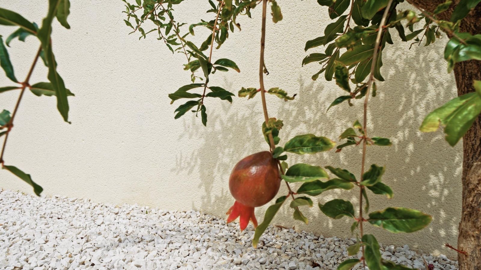 3 bedroom Villa for sale in Polop with pool - € 630,000 (Ref: 7826250)