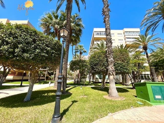 Ático de 2 habitaciones en Playa de los Locos, Torrevieja en venta con piscina - 465.900 € (Ref: 7840034)