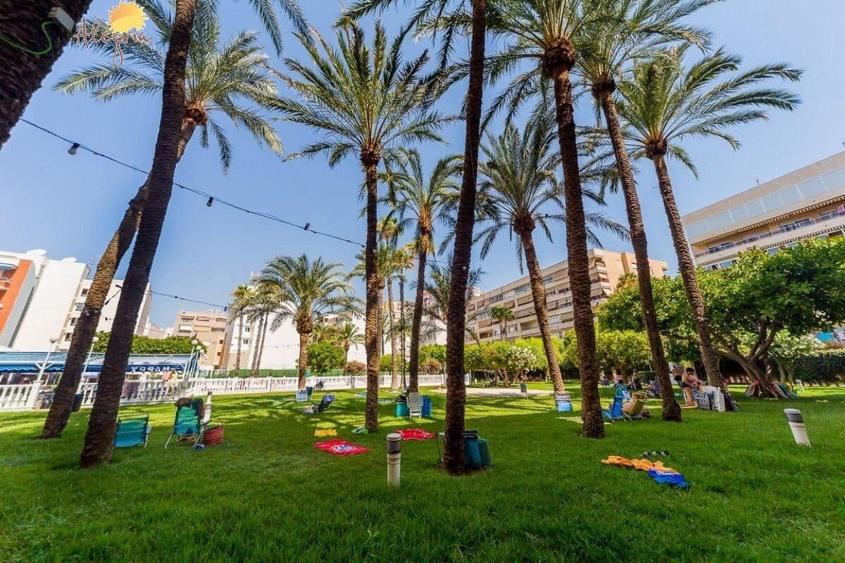 2 makuuhuone Kattohuoneisto myytävänä paikassa Torrevieja mukana uima-altaan - 465 900 € (Ref: 7840034)