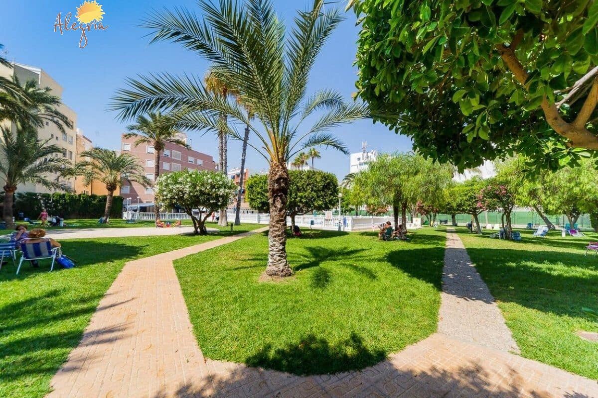 2 makuuhuone Kattohuoneisto myytävänä paikassa Torrevieja mukana uima-altaan - 465 900 € (Ref: 7840034)