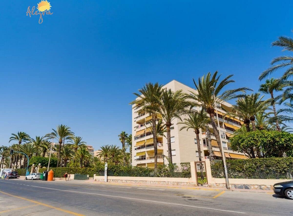 2 makuuhuone Kattohuoneisto myytävänä paikassa Torrevieja mukana uima-altaan - 465 900 € (Ref: 7840034)