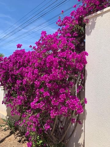 3 sypialnia Willa na sprzedaż w Ciudad Quesada, Rojales z basenem - 700 000 € (Ref: 7842586)