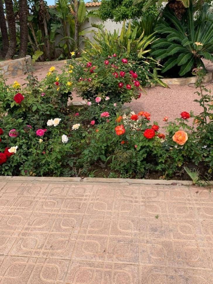 3 sypialnia Willa na sprzedaż w Ciudad Quesada z basenem - 700 000 € (Ref: 7842586)