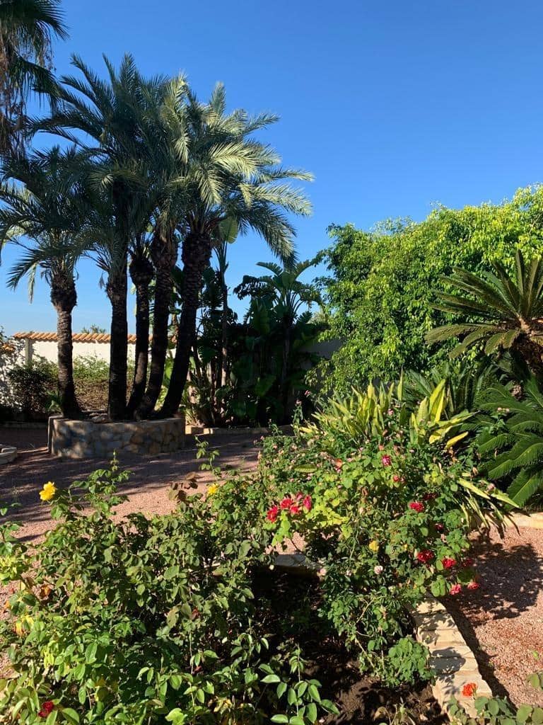 3 sypialnia Willa na sprzedaż w Ciudad Quesada z basenem - 700 000 € (Ref: 7842586)