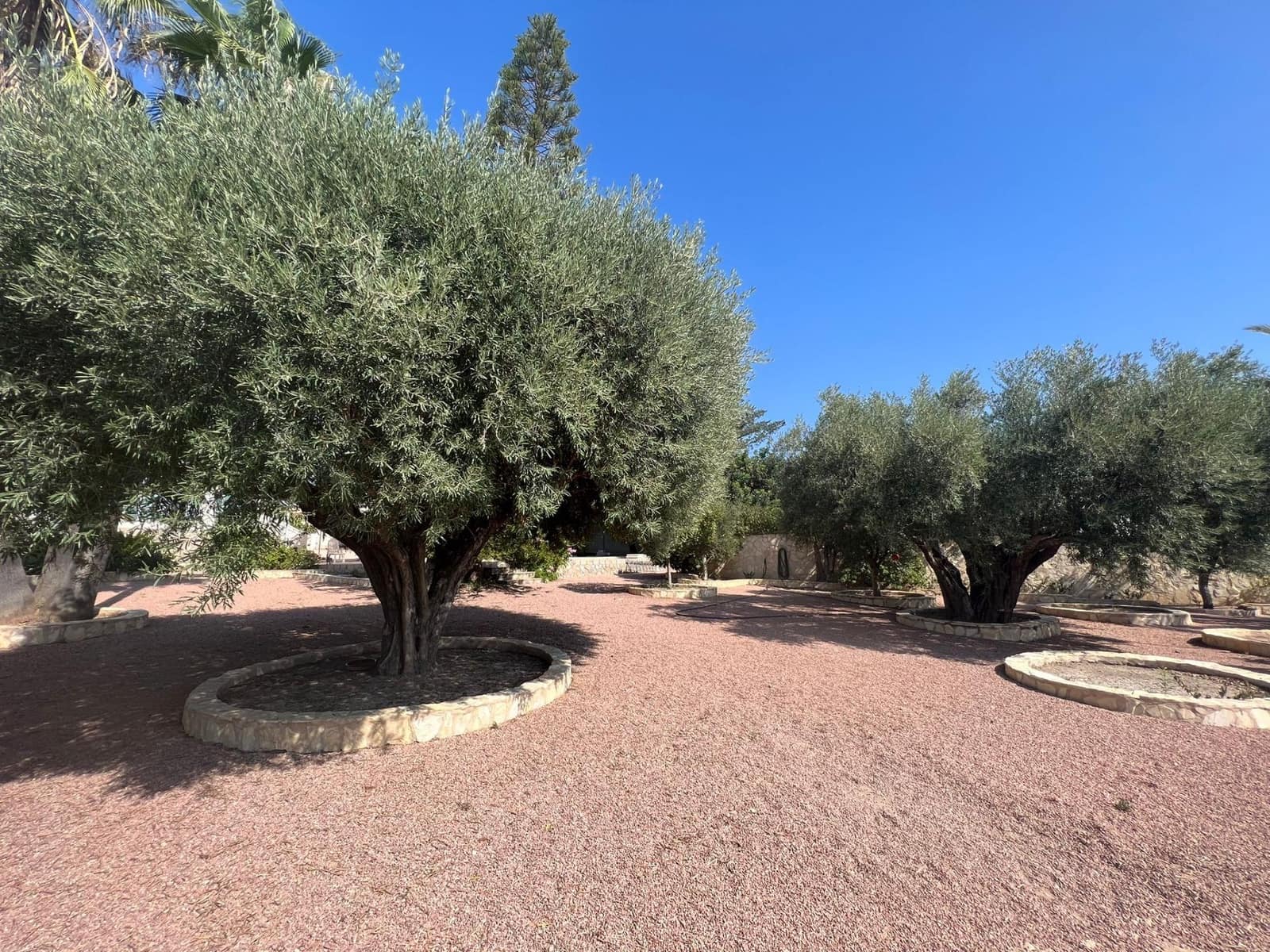 3 sypialnia Willa na sprzedaż w Ciudad Quesada z basenem - 700 000 € (Ref: 7842586)