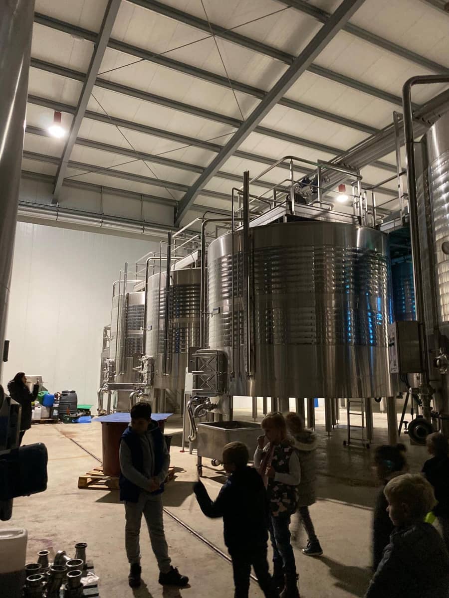 Negocio en Pinoso en venta - 5.000.000 € (Ref: 8122726)