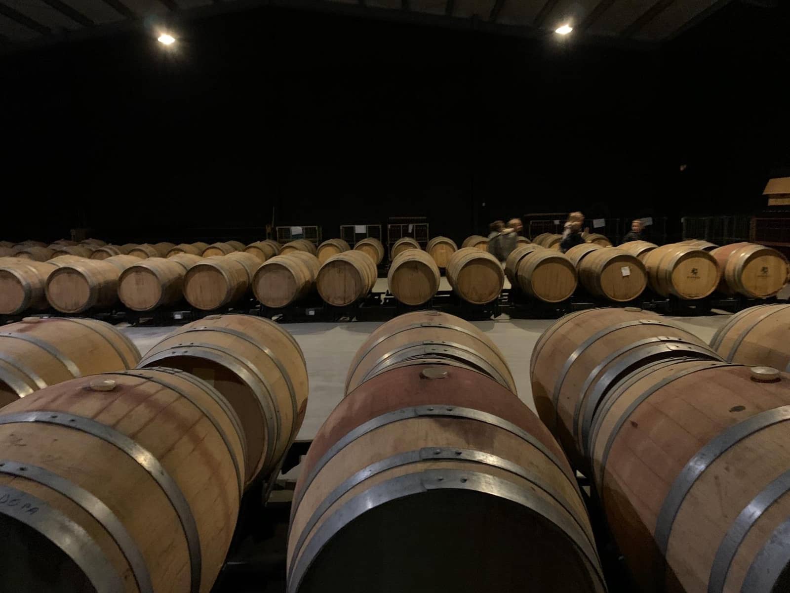 Negocio en Pinoso en venta - 5.000.000 € (Ref: 8122726)