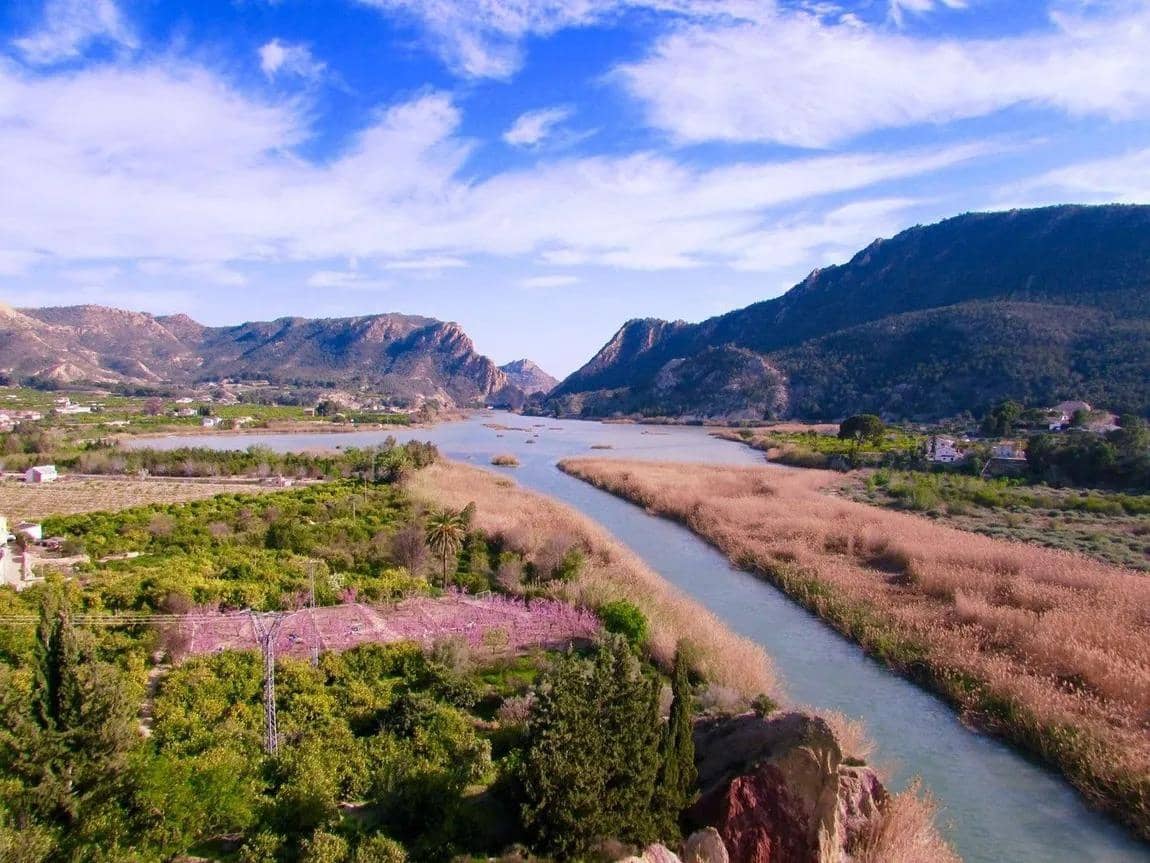 1 soverom Leilighet til salgs i Villanueva del Rio Segura med svømmebasseng garasje - € 92 900 (Ref: 8279080)