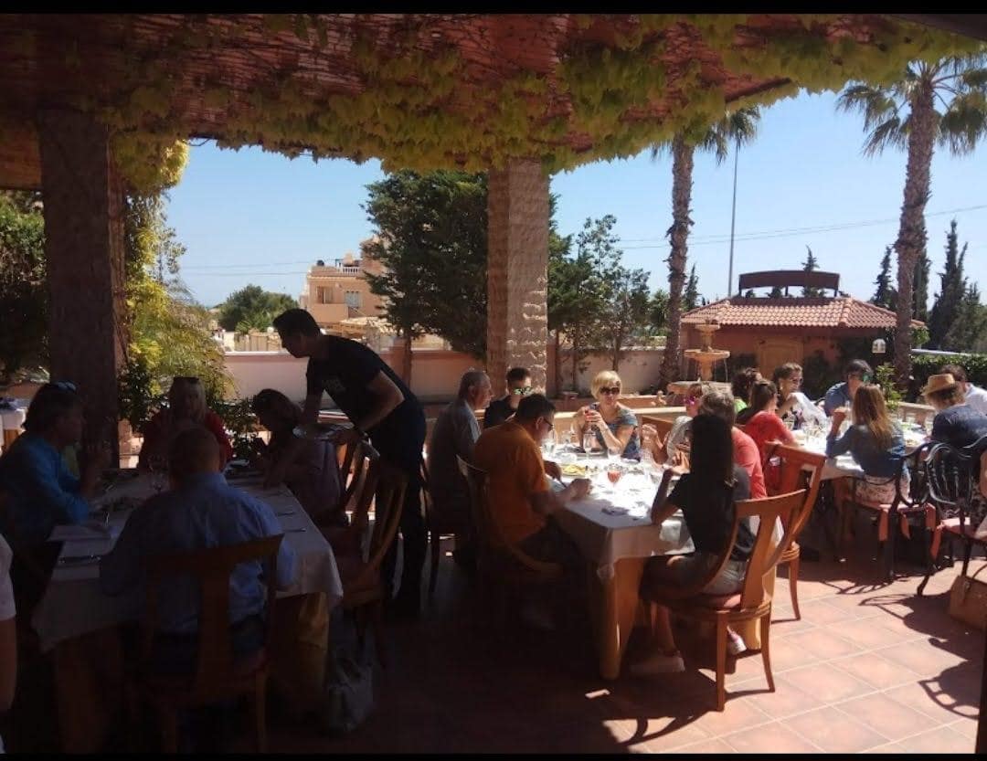 5 soveværelse Virksomhed til salg i Orihuela Costa med swimmingpool - € 1.600.000 (Ref: 8479338)