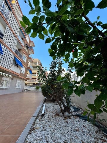 Apartamento de 3 habitaciones en Playa de los Náufragos, Torrevieja en venta con garaje - 244.900 € (Ref: 8527714)
