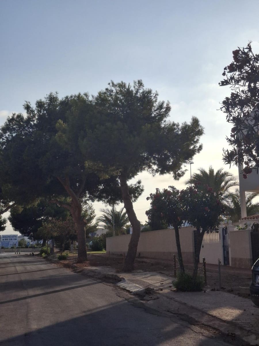 3 soveværelse Penthouse til salg i La Zenia - € 163.000 (Ref: 8546956)