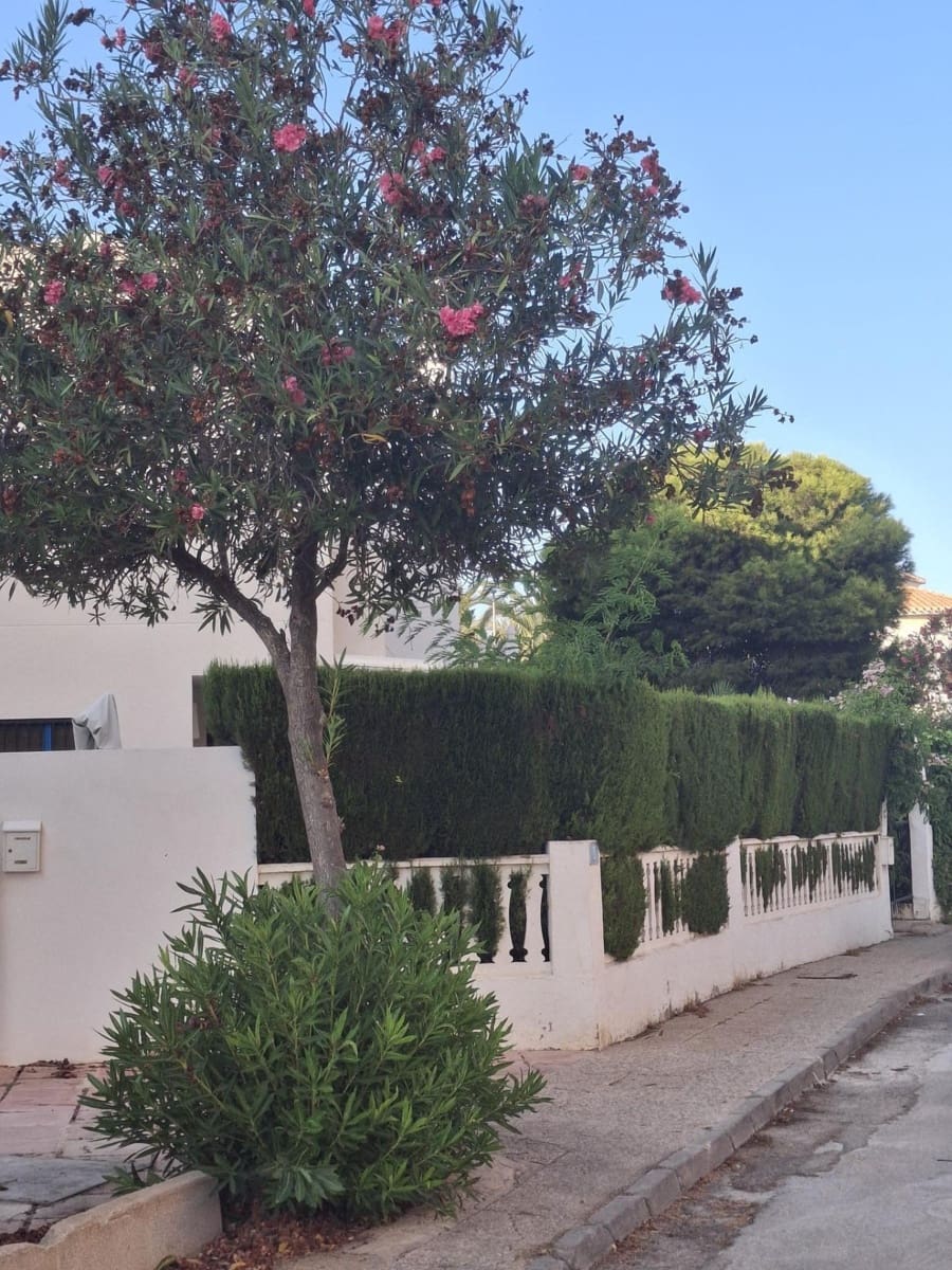 3 soveværelse Penthouse til salg i La Zenia - € 163.000 (Ref: 8546956)