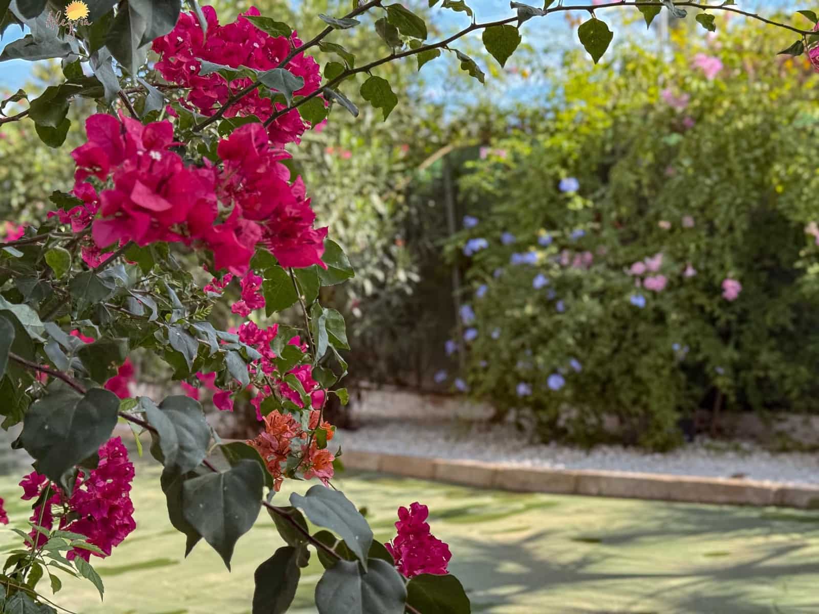 5 bedroom Villa for sale in Orihuela with pool garage - € 419,900 (Ref: 8633164)