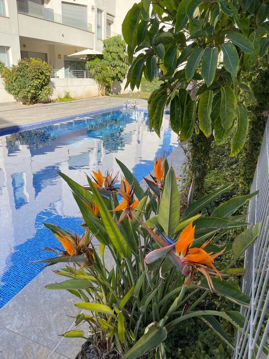 2 bedroom Bungalow for sale in La Veleta with pool - € 239,900 (Ref: 8686333)