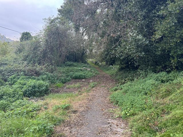 Building Plot for sale in Llanes - € 195,000 (Ref: 8715569)