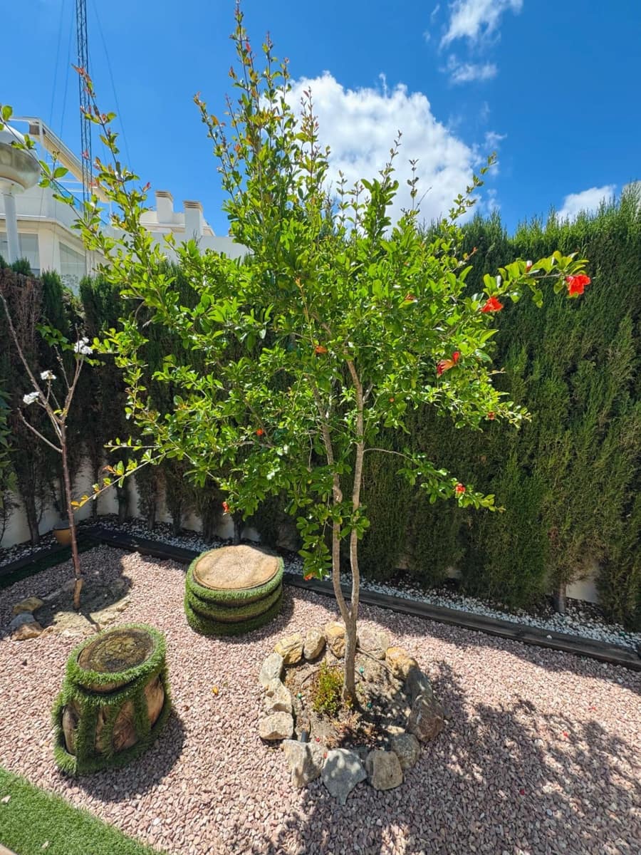 3 slaapkamer Villa te koop in Benijofar met zwembad - € 340.000 (Ref: 8867149)