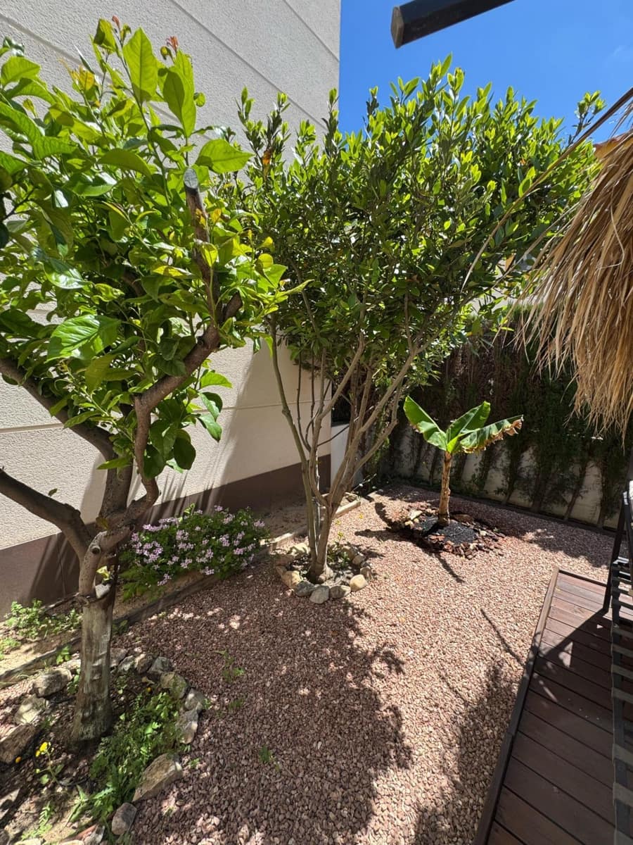 3 slaapkamer Villa te koop in Benijofar met zwembad - € 340.000 (Ref: 8867149)