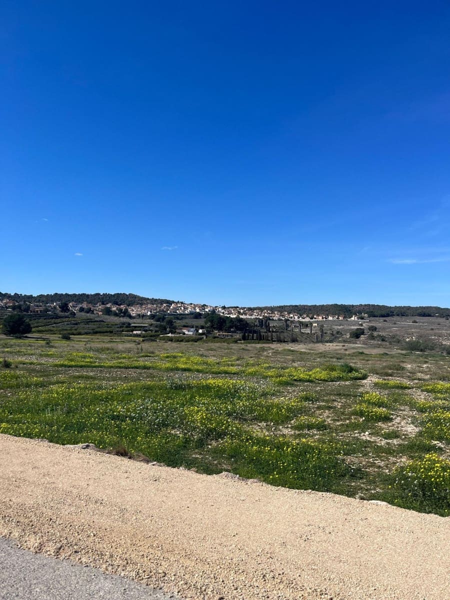 3 bedroom Villa for sale in San Miguel de Salinas with pool - € 399,500 (Ref: 8912926)