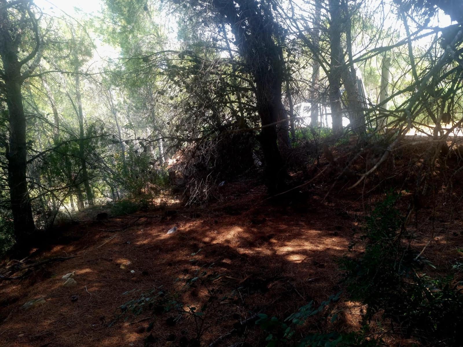 Działka budowlana na sprzedaż w Galera de las Palmeras - 250 000 € (Ref: 8918055)