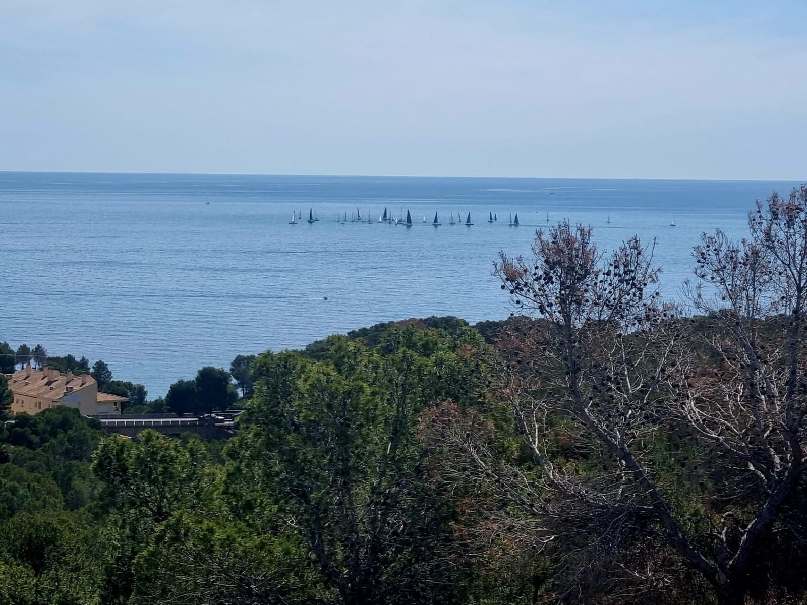 Działka budowlana na sprzedaż w Galera de las Palmeras - 250 000 € (Ref: 8918055)