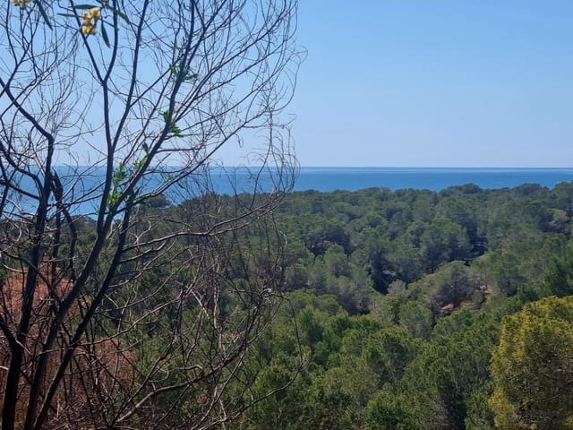 Byggegrund til salg i Galera de las Palmeras, Altea - € 250.000 (Ref: 8918055)