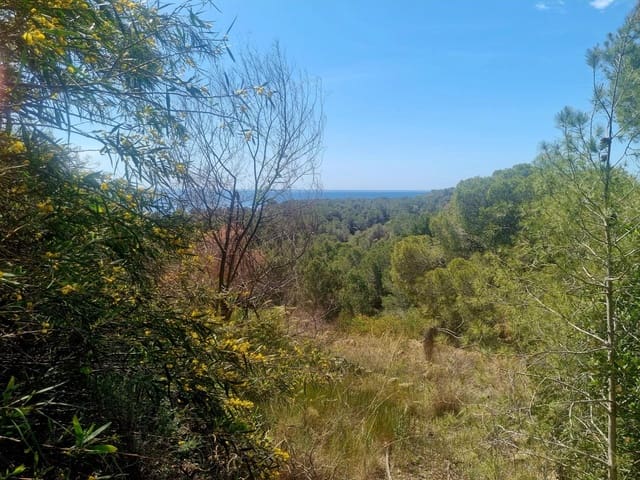 Byggegrund til salg i Galera de las Palmeras, Altea - € 250.000 (Ref: 8918055)