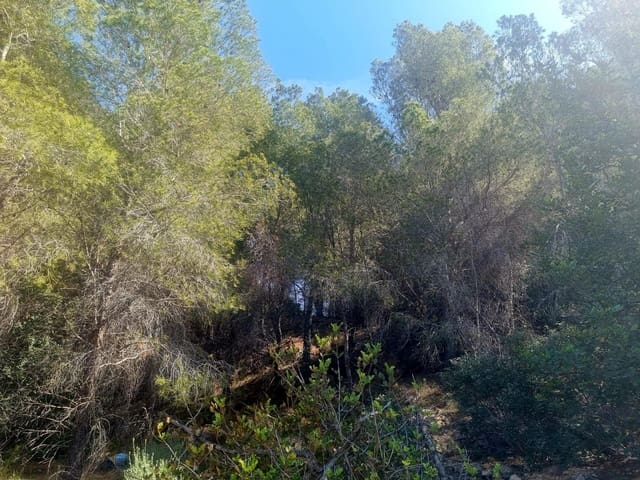 Byggegrund til salg i Galera de las Palmeras, Altea - € 250.000 (Ref: 8918055)