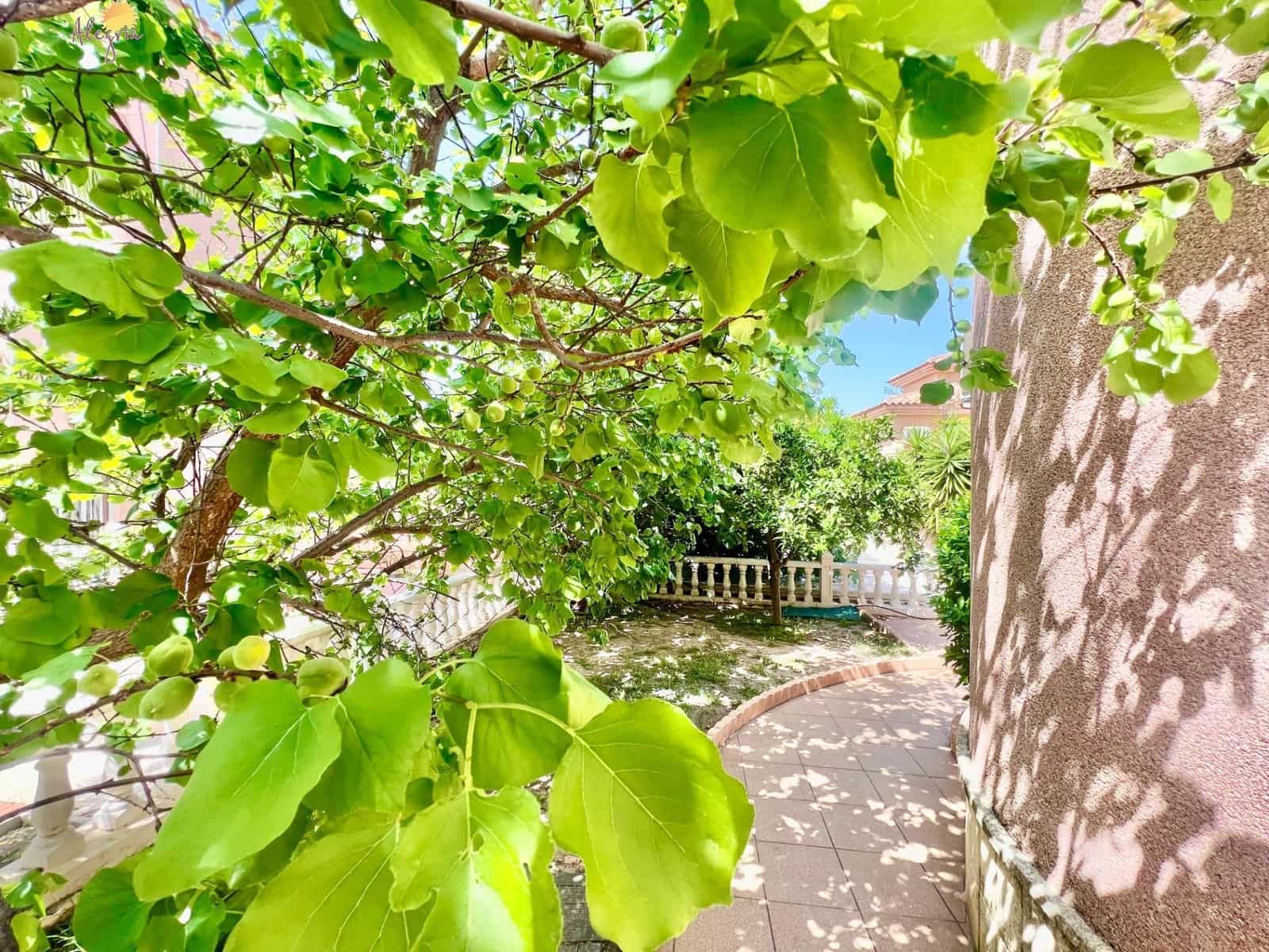 3 bedroom Villa for sale in Torrevieja with pool garage - € 495,000 (Ref: 8968260)