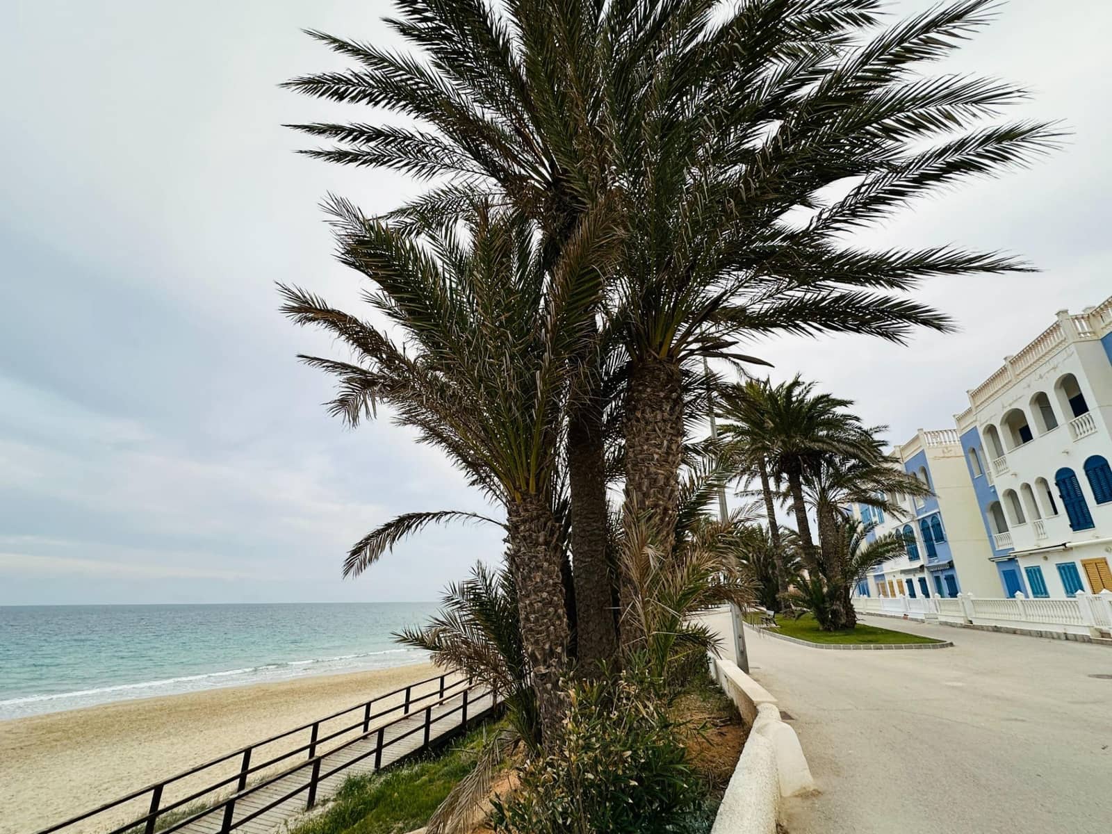 3 Zimmer Wohnung zu verkaufen in Pilar de la Horadada - 156.900 € (Ref: 9015078)