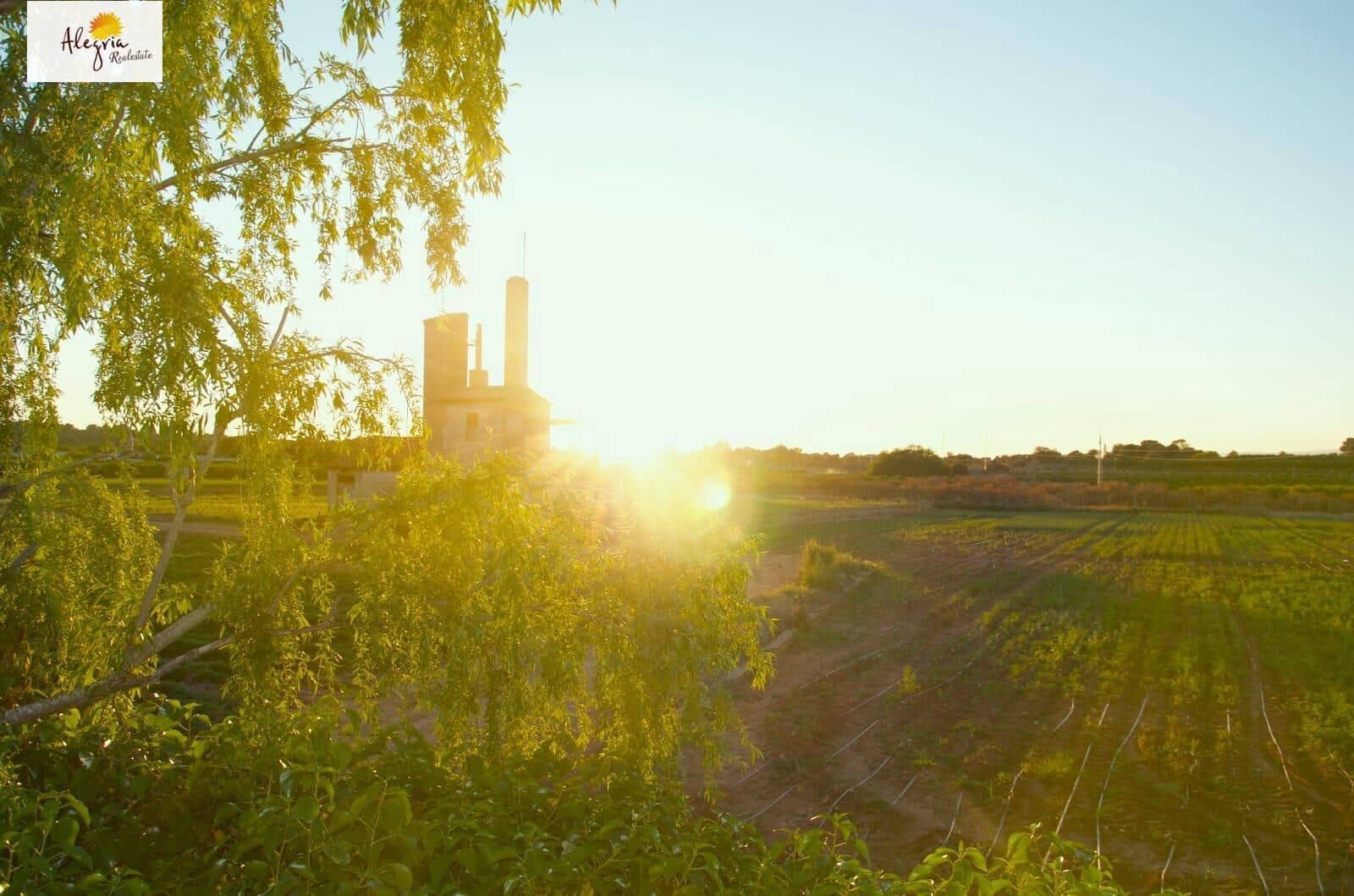 7 sovrum Villa till salu i Betera med pool - 1 090 000 € (Ref: 9024137)