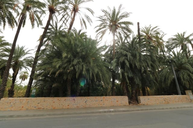 Bouwgrond te koop in Orihuela - € 290.000 (Ref: 9099074)