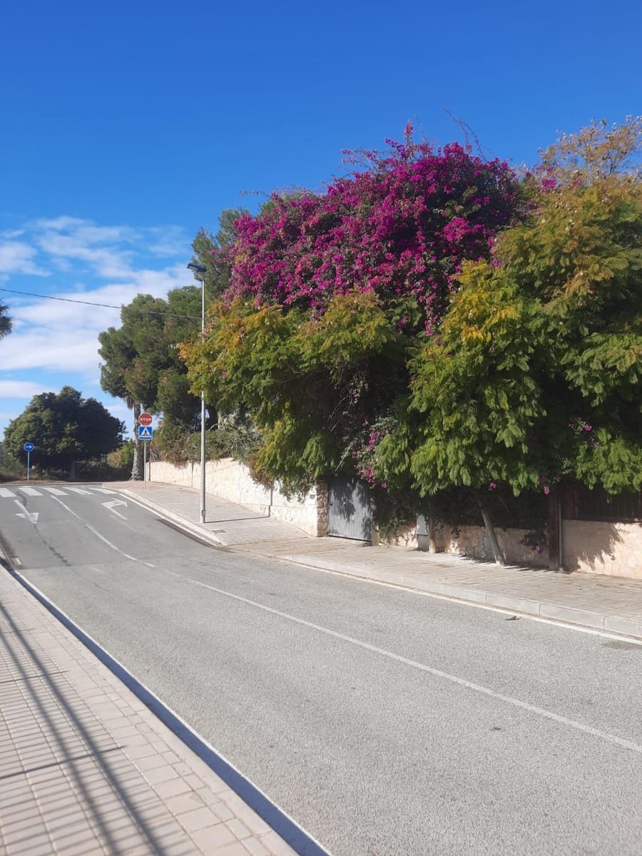 3 camera da letto Villa in vendita in Alicante citta con garage - 585.000 € (Rif: 9124981)