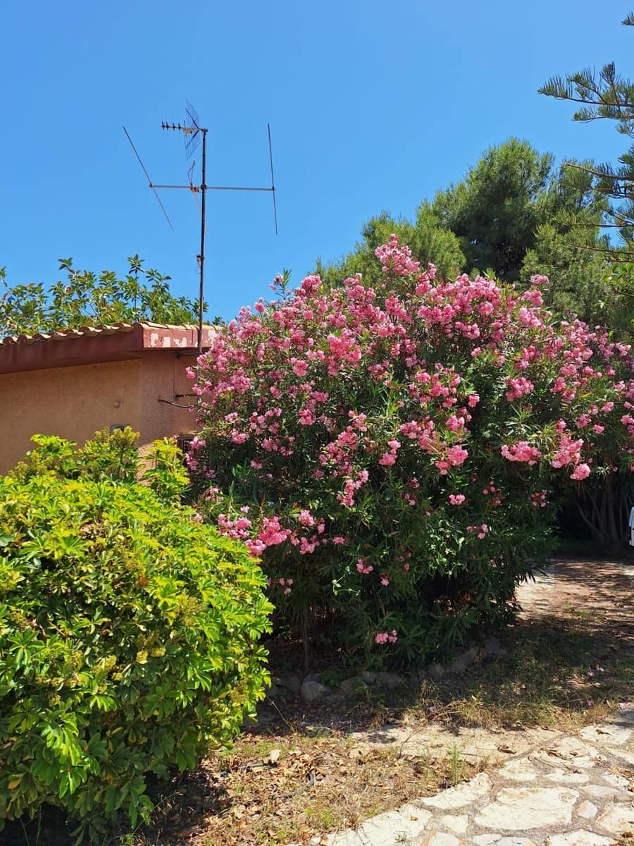 3 camera da letto Villa in vendita in Alicante citta con garage - 585.000 € (Rif: 9124981)