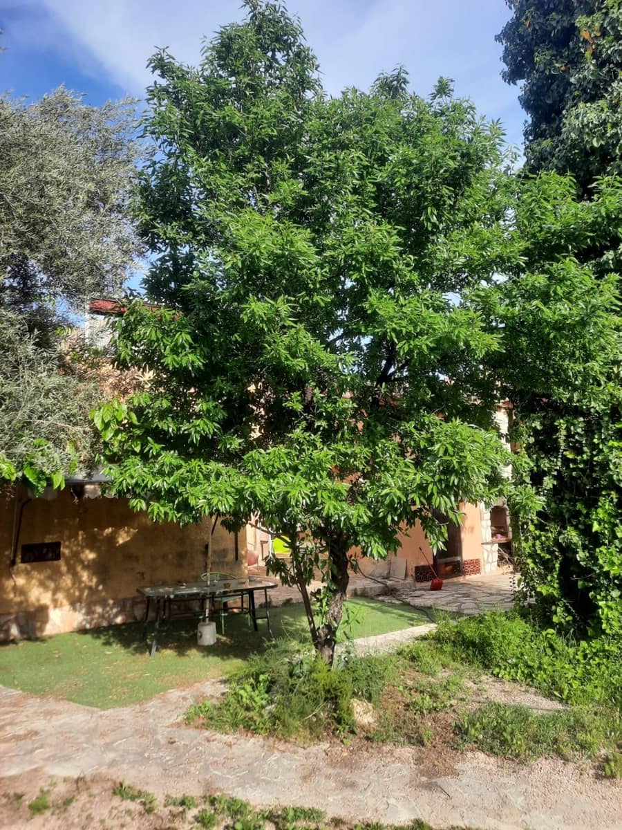 3 camera da letto Villa in vendita in Alicante citta con garage - 585.000 € (Rif: 9124981)