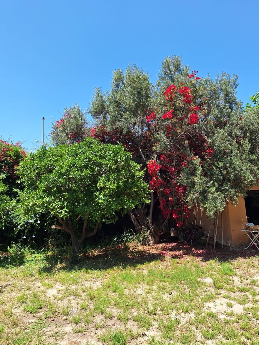 3 camera da letto Villa in vendita in Alicante citta con garage - 585.000 € (Rif: 9124981)