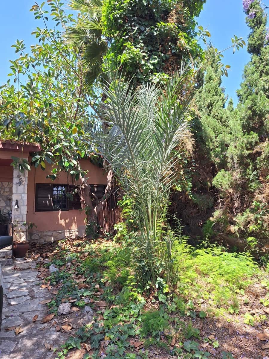 3 camera da letto Villa in vendita in Alicante citta con garage - 585.000 € (Rif: 9124981)