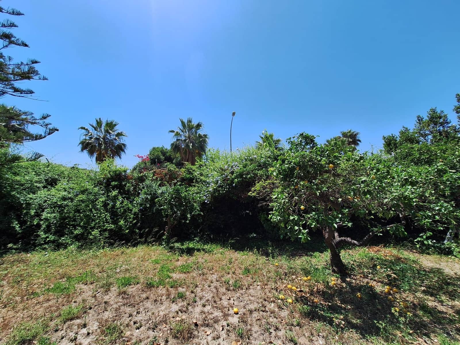 3 camera da letto Villa in vendita in Alicante citta con garage - 585.000 € (Rif: 9124981)