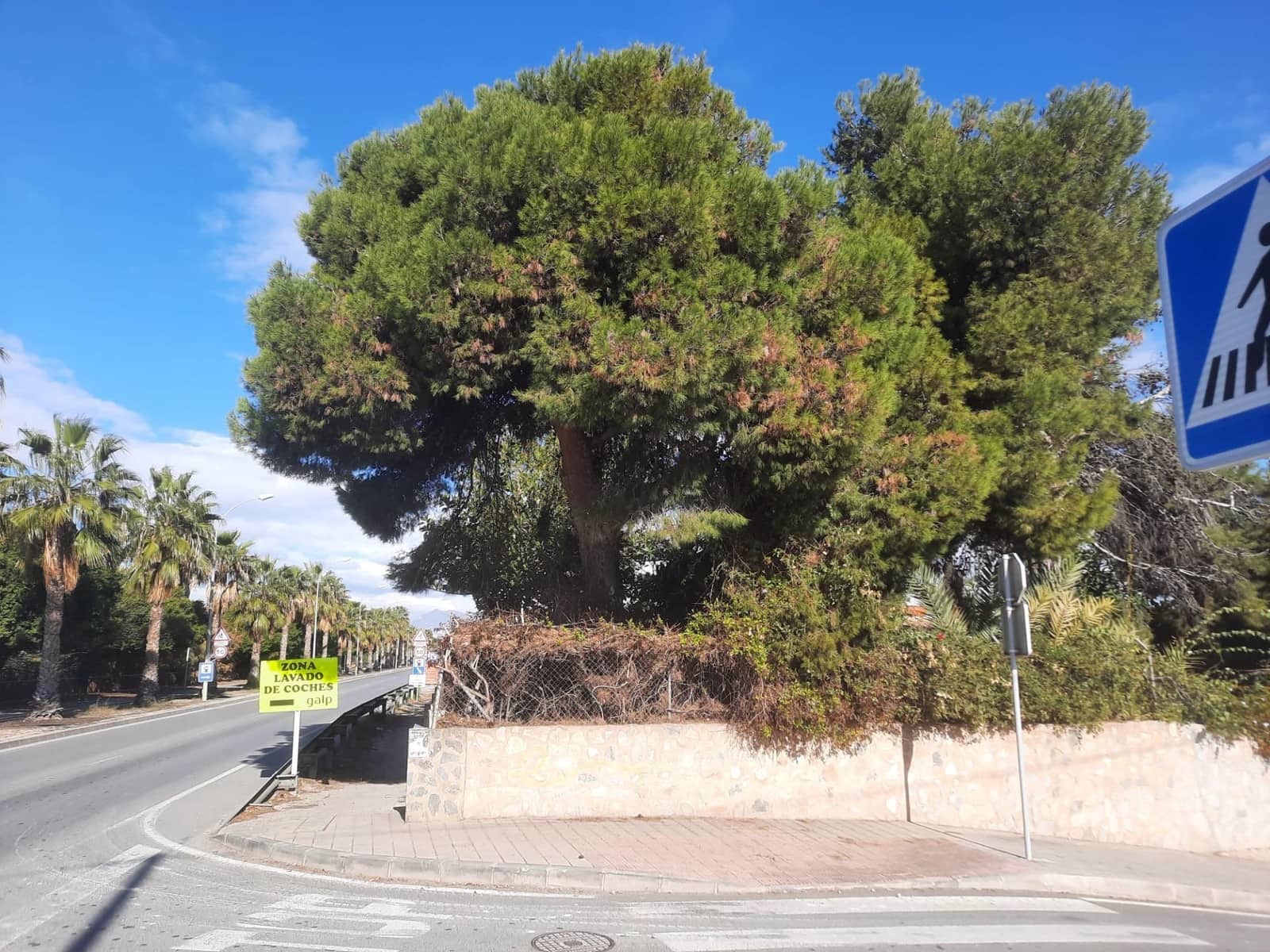 3 camera da letto Villa in vendita in Alicante citta con garage - 585.000 € (Rif: 9124981)