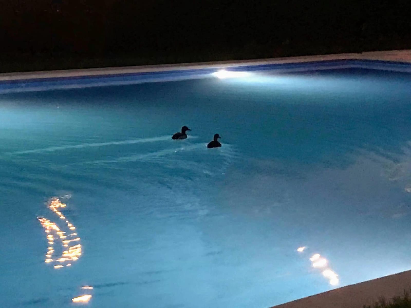 3 soveværelse Lejlighed til salg i Playa de San Juan med swimmingpool garage - € 450.000 (Ref: 9137058)