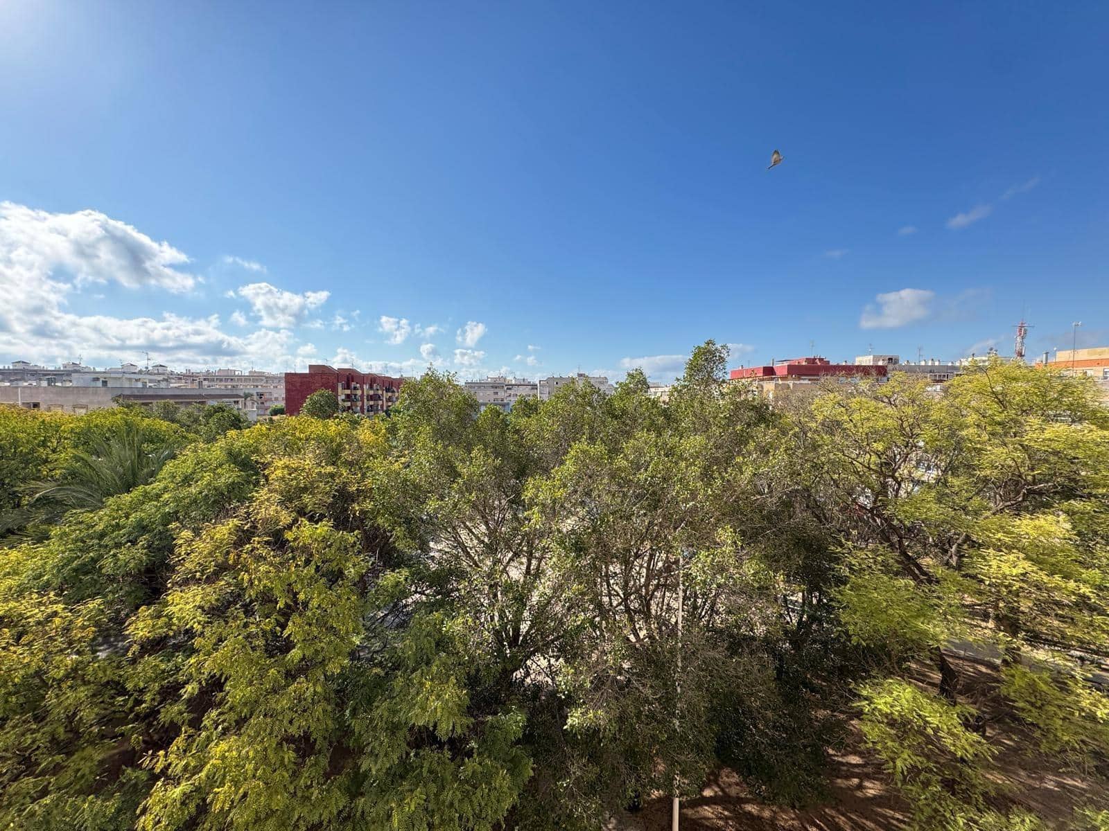 Apartamento de 2 habitaciones en Torrevieja en venta con piscina garaje - 139.900 € (Ref: 9247299)