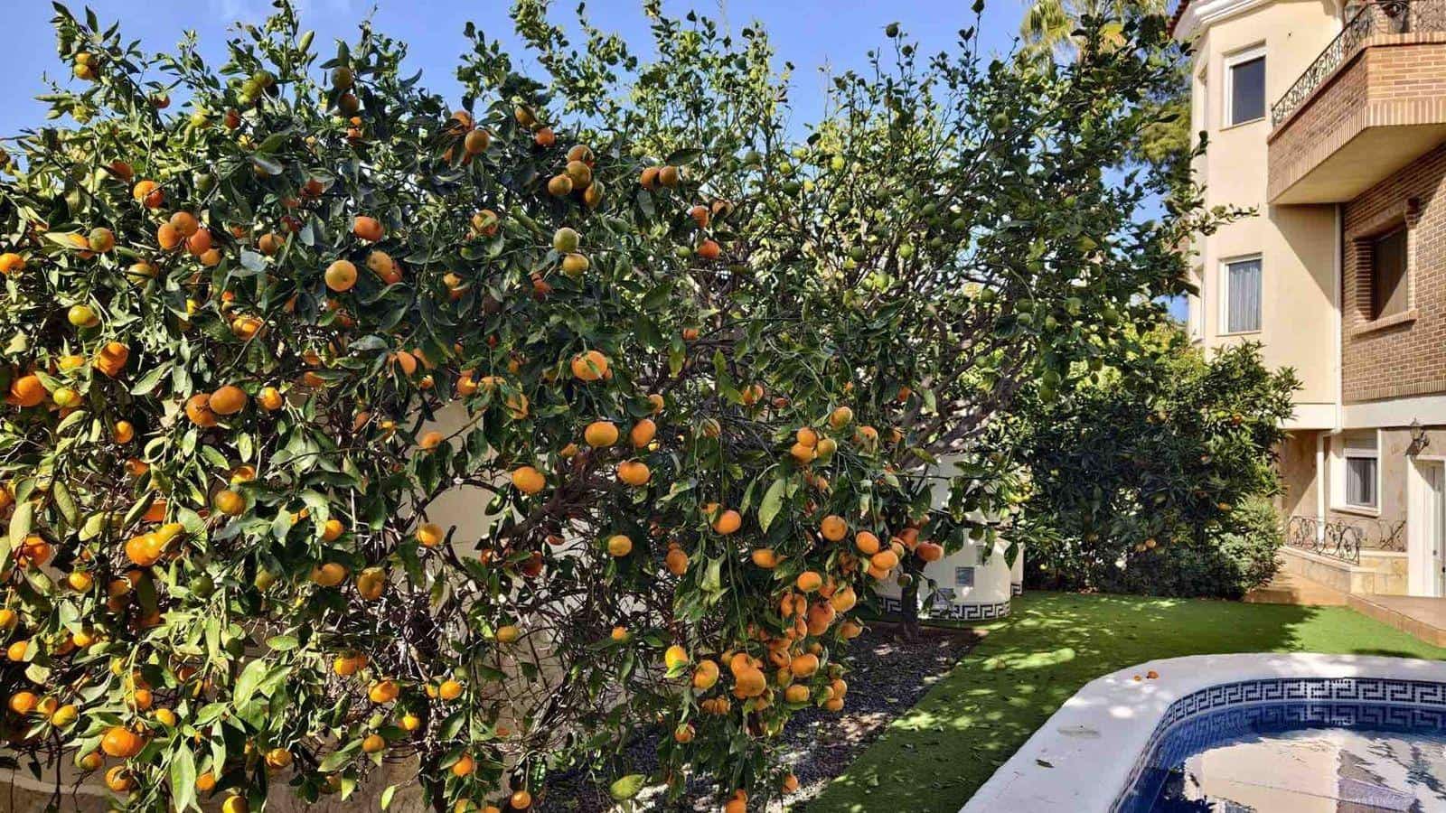 Chalet de 5 habitaciones en Ciudad Quesada en venta con piscina - 630.000 € (Ref: 9285210)