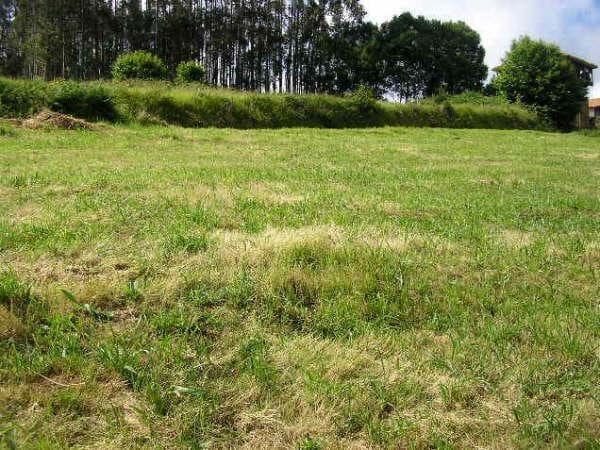 Tomt till salu i Cudillero - 35 000 € (Ref: 9406854)