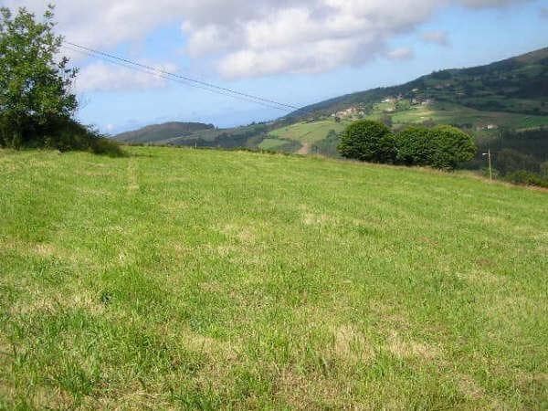 Tomt till salu i Cudillero - 35 000 € (Ref: 9406854)