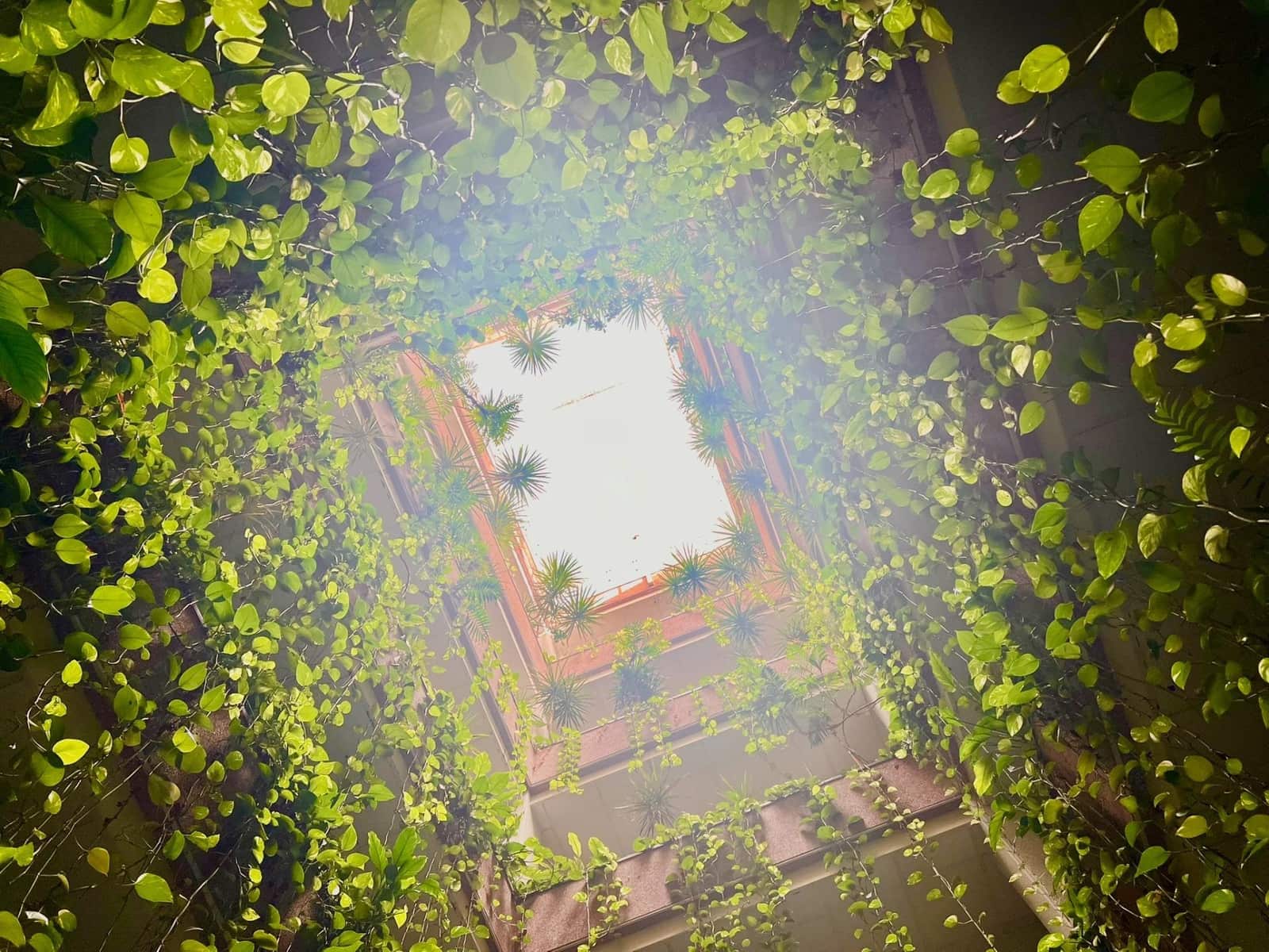 Apartamento de 2 habitaciones en Torrevieja en venta - 177.000 € (Ref: 9456260)