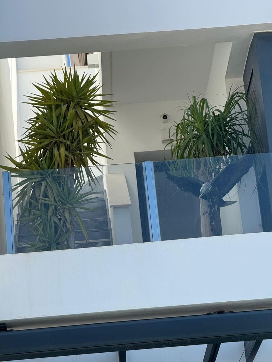 Chalet de 3 habitaciones en Orihuela Costa en venta - 369.000 € (Ref: 9468486)