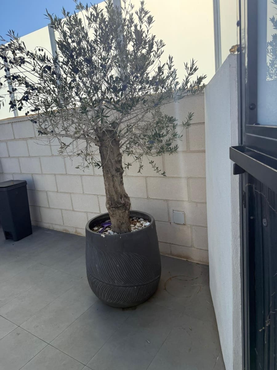 Chalet de 3 habitaciones en Orihuela Costa en venta - 369.000 € (Ref: 9468486)