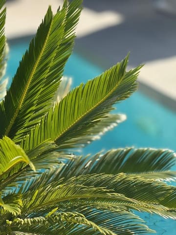 Chalet de 3 habitaciones en Orihuela Costa, Orihuela en venta - 369.000 € (Ref: 9468486)