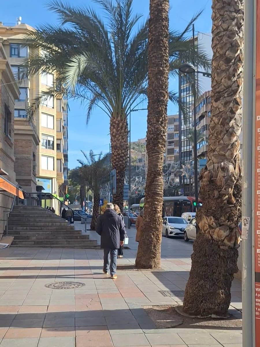 1 chambre Entreprise à vendre à Alicante ville - 150 000 € (Ref: 9481196)