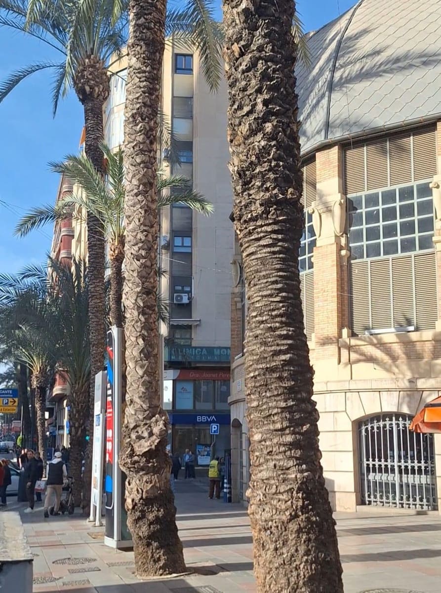 1 chambre Entreprise à vendre à Alicante ville - 150 000 € (Ref: 9481196)