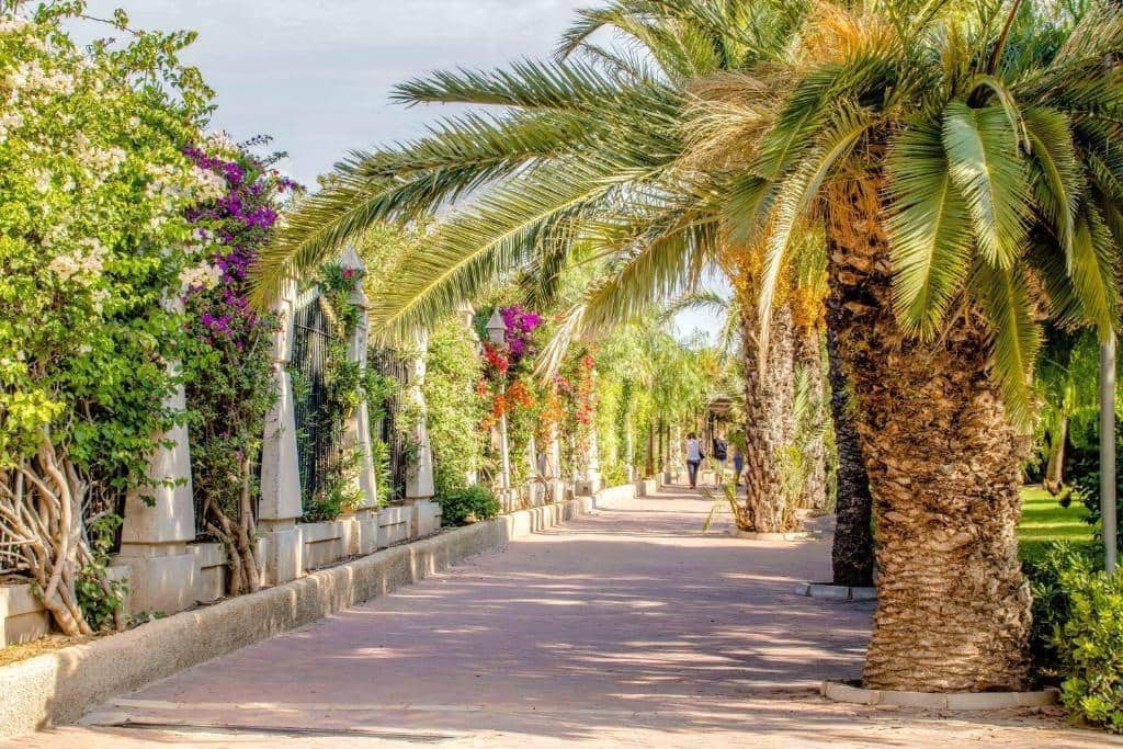 2 makuuhuone Huoneisto myytävänä paikassa Torrevieja - 129 850 € (Ref: 9513406)